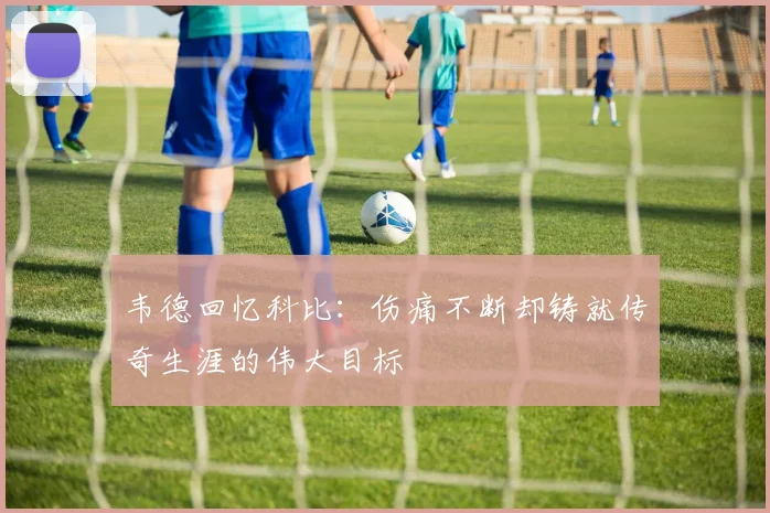 韦德回忆科比：伤痛不断却铸就传奇生涯的伟大目标